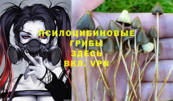 ПСИЛОЦИБИНОВЫЕ ГРИБЫ Ступино