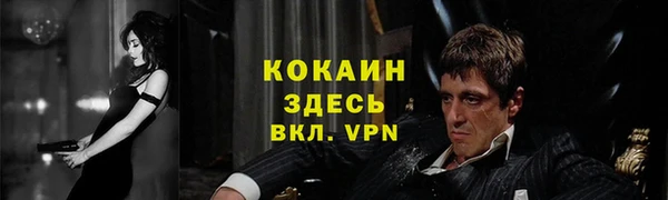 mdpv Сосновоборск