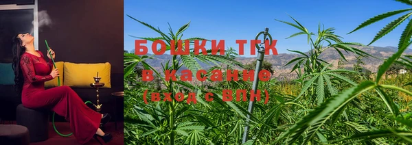 ПСИЛОЦИБИНОВЫЕ ГРИБЫ Ступино