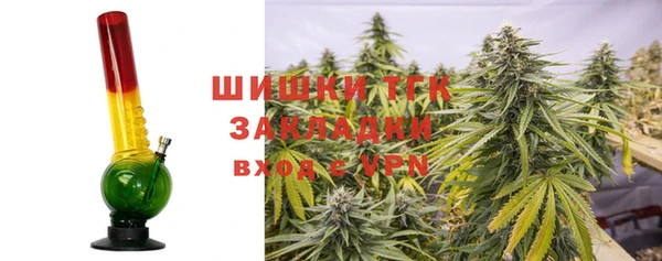 ПСИЛОЦИБИНОВЫЕ ГРИБЫ Ступино
